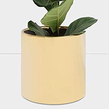 Aluminum Houseplant Pots